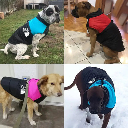Arctic Paws Waterproof Winter Dog Vest